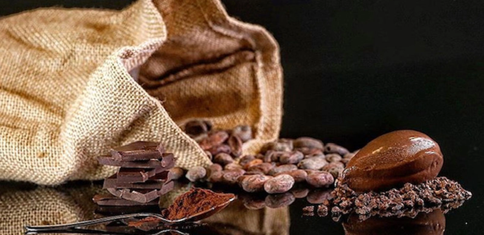 BEST CHOCOLATE ICE CREAM? GIVE THE FLOOR TO GAMBERO ROSSO ICE CREAM CHAMPION STEFANO DASSIE